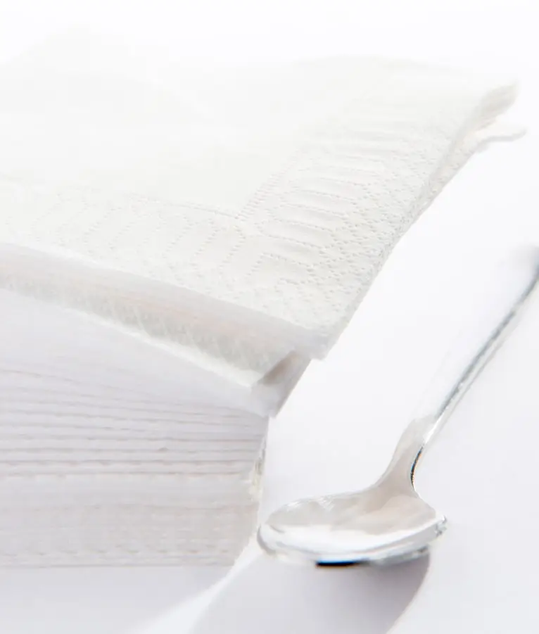 image prévisualisation secondaire : Serviette 20×20 Ouate Blanc /4000