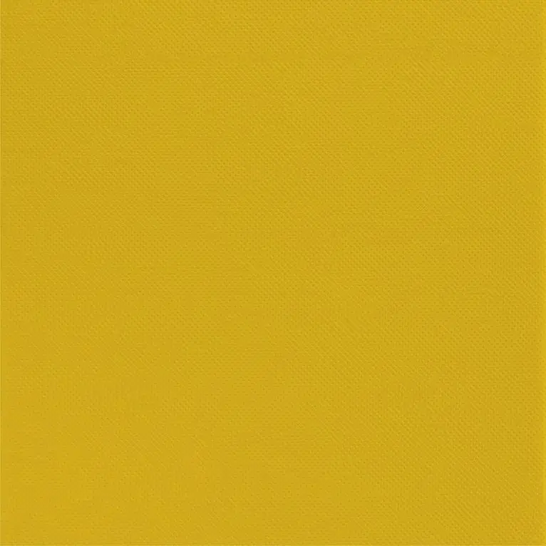 Serviette 38x38 Celi-Ouate /50