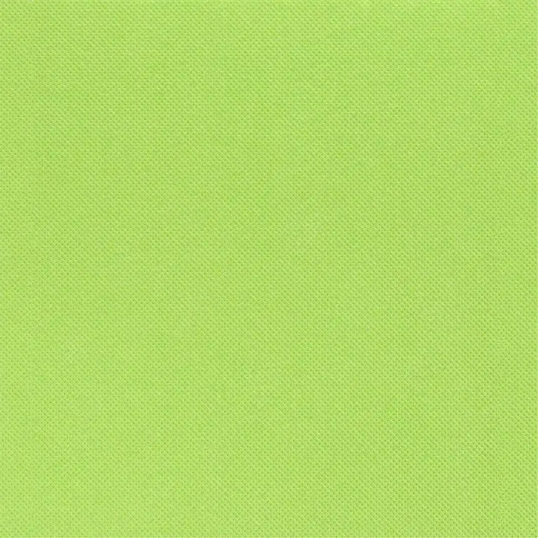 Serviette 38x38 Celi-Ouate Pistache /50